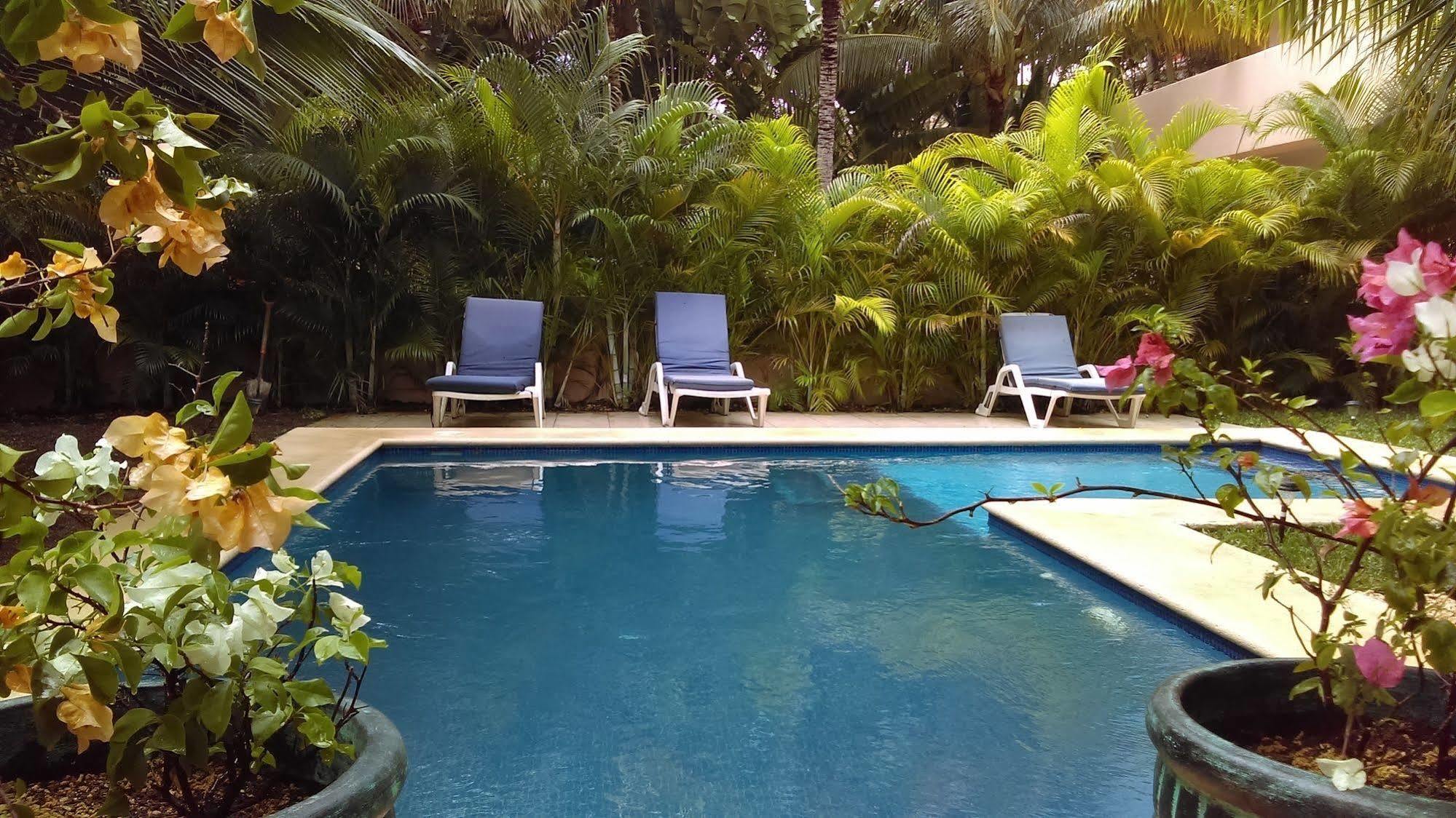 Villas Picalu Lodge Puerto Aventuras Eksteriør bilde